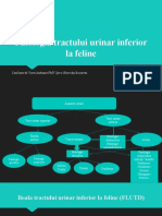 Patologie_tract_urinar_inferior-1.ppt