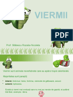 Viermii