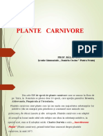 Plante Carnivore