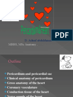 Heart Anatomy Guide