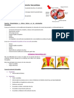 Clase 33 Valvuloptaía Tricuspídea