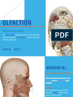 VisibleBody Olfaction Ebook 2019 PDF