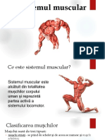 sistemul muscular.pdf