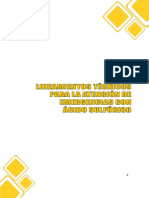 Lineamientos_tecnicos_para_la_atencion_emergencias.pdf