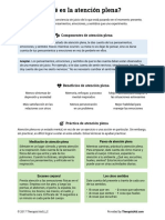 ATENCION PLENA.pdf
