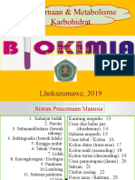 Pencernaan & Metabolisme Karbohidrat