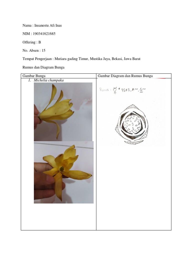 Floral Diagram and Formula PDF