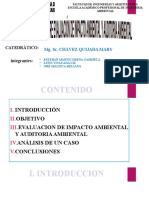 EIA Y AUDITORIA.pptx