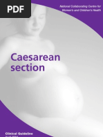 Download CS Guidelines by Mai Hamde SN48427225 doc pdf