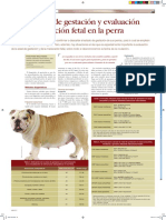 Diagnostico de gestacion y evaluacion de la maduracion fetal en la perra.ARGOS 2012.pdf