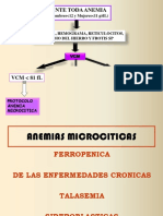 B-Anemias Microciticas 2019 PDF