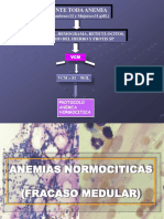 C-Anemias Normociticas 2019 PDF