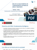 Cuidado Integral de La Salud Mental en Niñas, Niños y Adolescentes Victimas de Violencia y Maltrato