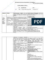 Matriz Primera Entrega