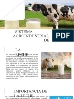 1.sistema Agroindustrial de Lácteos