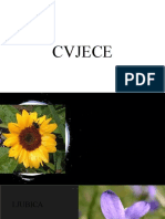 CVIJEĆE