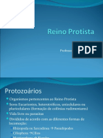 ReinoProtista-Protozoarios