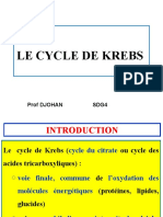 LE CYCLE DE KREBS 