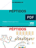 Peptidos Wiener-2020-Ii