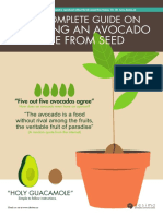 20160502+Avocado+E-book+by+desima+dot+co.pdf
