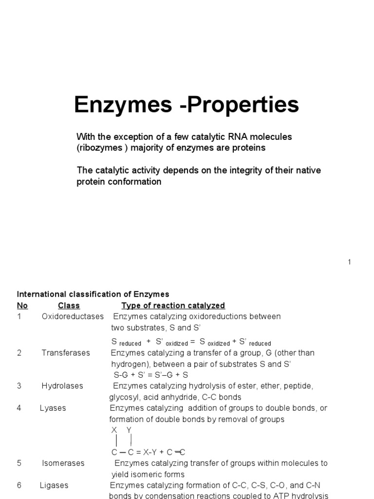Enzymes PDF Cofactor (Biochemistry) Enzyme