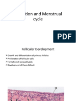 Ovulation and Menstrual Cycle
