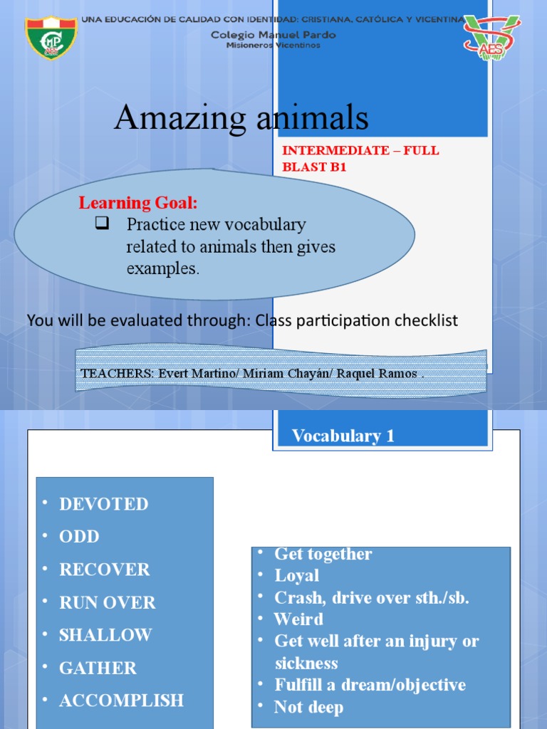 Amazing Animals PDF