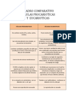 CUADRO COMPARATIVO CELULAS PROCARIOTICAS Y EUCARIOTICAS