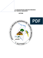 Plan de Vida ACITAM 2005 - 2008 PDF
