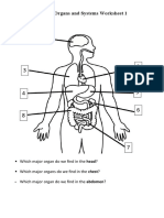 Human Organs and Systems Worksheet 1