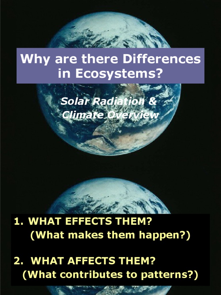 2011 Lecture 5 Why Are There Differences in Ecosystems Part I | PDF ...