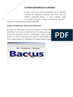 Sistema de Información Gerencial de Backus & Johnston