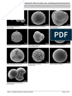 11 - PDFsam - Halbritter Etal 2005 Illustr Handbook Pollen Terminology