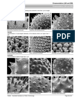 36 - PDFsam - Halbritter Etal 2005 Illustr Handbook Pollen Terminology PDF