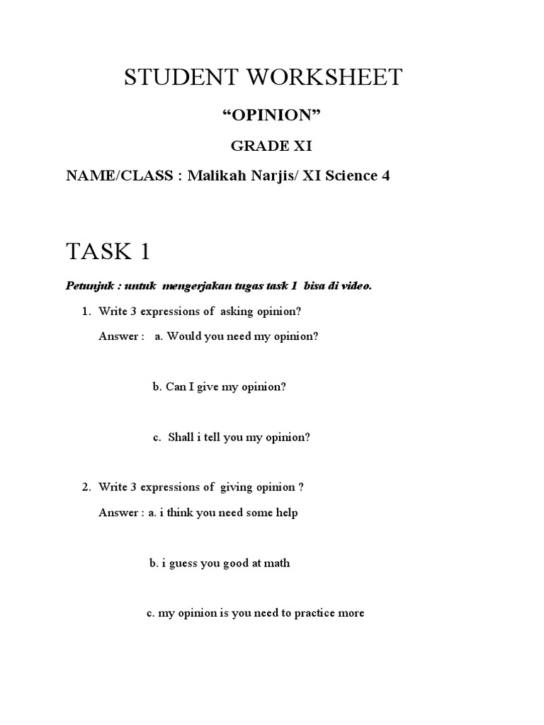 Opinion Worksheet | PDF