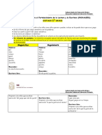 2 - DICTADOS PRONALEES 1o y 2° Con Precisiones y Niveles de Redacción