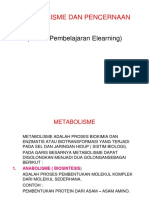 Metabolisme PDF