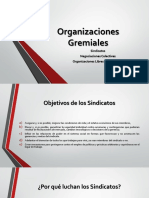 Organizaciones Gremiales (1).pdf