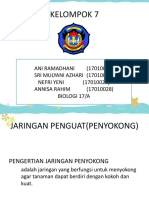 Jaringan Penguat