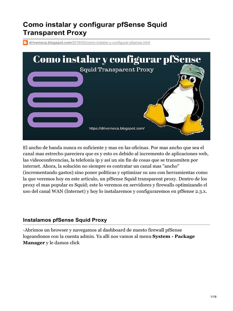 Como Instalar y Configurar Pfsense Squid Transparent Proxy | PDF ...