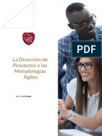 Libro_DigitalProjectManagement.pdf