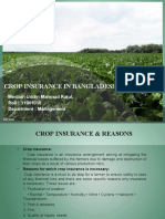 Crop Insurance in Bangladesh