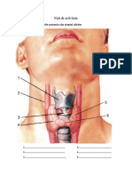 Fișă de Activitate
