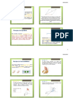 Tema1E C PDF