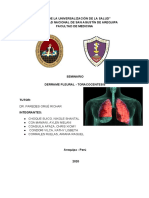 Seminario Derrame Pleural-Toracocentesis PDF