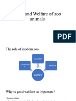 Care and welfare of zoo animals.pptx