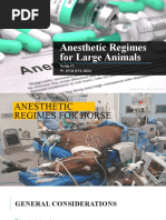 Goat and Sheep Anesthesia Protocols | PDF | Anesthesia | Analgesic