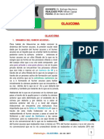 8. Glaucoma 23-03-17.pdf