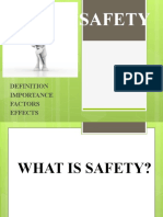 Safety: Importance Factors Effects
