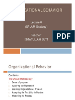 Organizational Behavior: (SALAM Strategy) Teacher: Ismatullah Butt